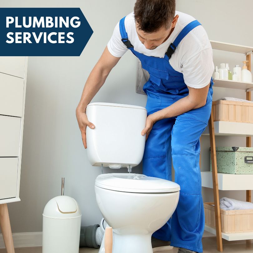 Plumbing Company in Lowpoint, IL